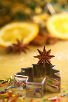 Star anise on Christmas tree shaped cookie cutter lying on dough (Selective Focus, Focus on the middle of the anise)