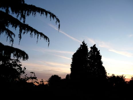A view of the sky with a tree silhouette foreground.
