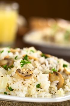 Mushroom risotto with parsley (Selective Focus, Focus on the front of the mushroom slice one third into the dish)