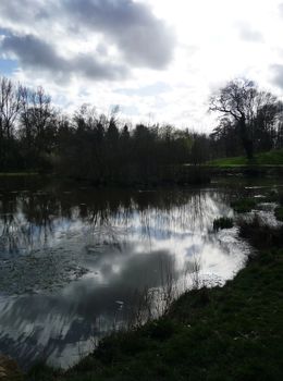 The view of the lakeside landscape in Lydiard Park.

