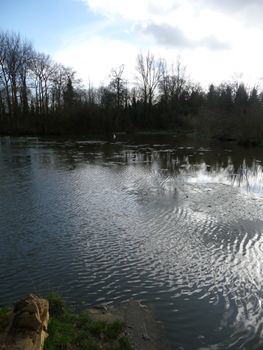 The view of the lakeside landscape in Lydiard Park.
