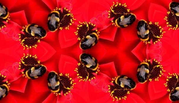 A seamless pattern made from a bee on a flower.
