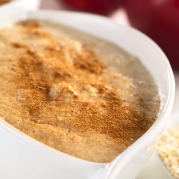 Porridge made of oatmeal and milk served with ground cinnamon (Selective Focus, Focus one third into the porridge)