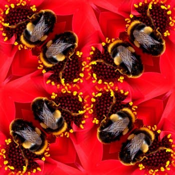 A seamless pattern made from a bee on a flower.
