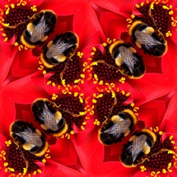 A seamless pattern made from a bee on a flower.
