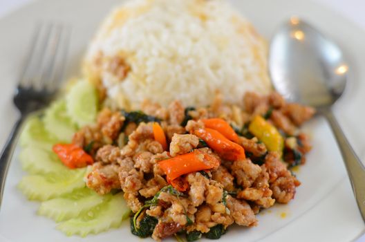 Rice and  minced pork fried with chilli pepper and  sweet basil 