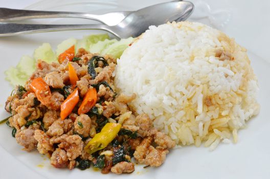 Rice and minced pork fried with chilli pepper and sweet basil