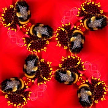 A seamless pattern made from a bee on a flower.
