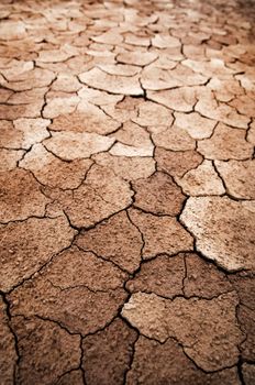 Detail of dry cracked earth