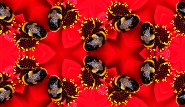 A seamless pattern made from a bee on a flower.
