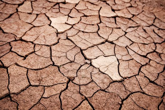 Detail of dry cracked earth