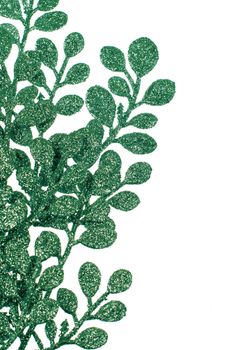 Christmas decorative green leaves isolated on white background.