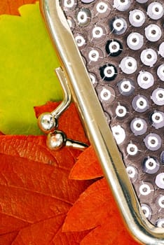 details of silver purse over colorful autumn leaves