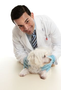 A male vet taking care of or attending to a small pet dog.   He is looking up with a friendly smile.