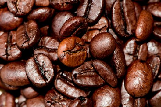 Detailed coffee beans background.