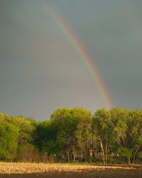 Rainbow, trees and field, Lancaster Country, NE, USA