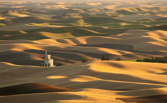 Grain elevator, rolling hills and wheat on a summer evening, Whitman County, Washington, USA