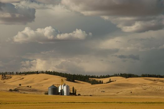 Grain elevator, silos and evening clouds, Latah County, Idaho, USA