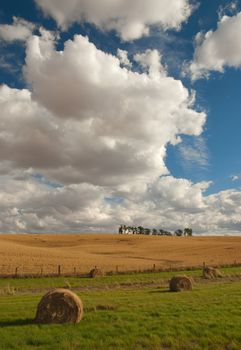 Hay bales, farm field, trees and clouds, Latah County, Idaho, USA