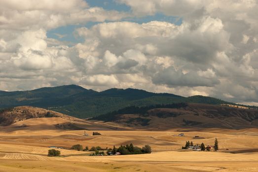 Farms, harvested fields and The Palouse Range, Whitman County, Washington and Latah County, Idaho
