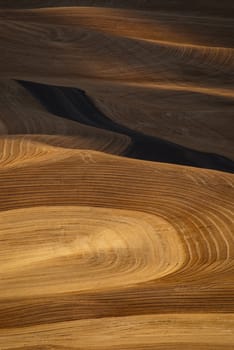 Light and shadow on rolling fields after harvest, Whitman County, Washington, USA