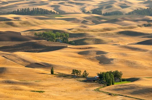 Farms and rolling fields after harvest, Whitman County, Washington, USA