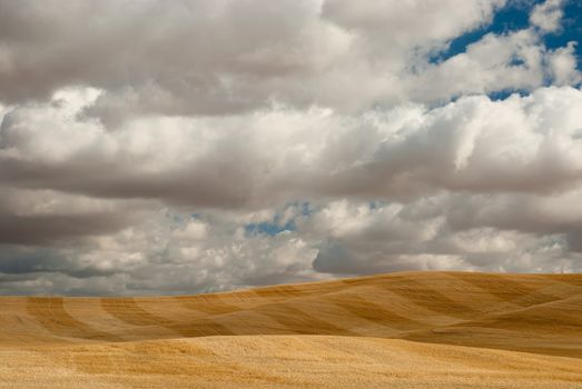 Harvested wheat field patterns and clouds, Whitman County, Washington, USA