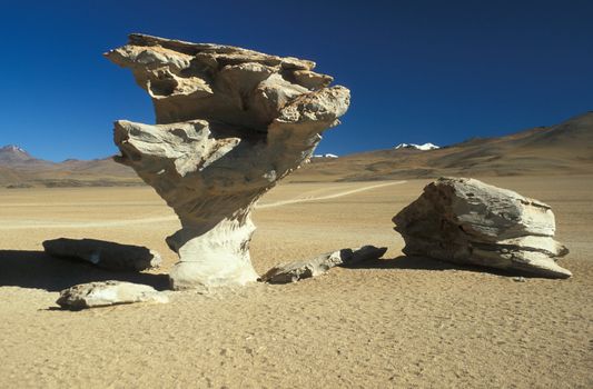 Natural stone sculpture ARBOL DE PIEDRA or tree of stone high in the Bolivian Altiplano, Bolivia, South America