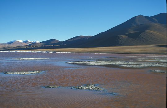 Red algae covering a lake in the Bolivian Altiplano. Bolivia, South America