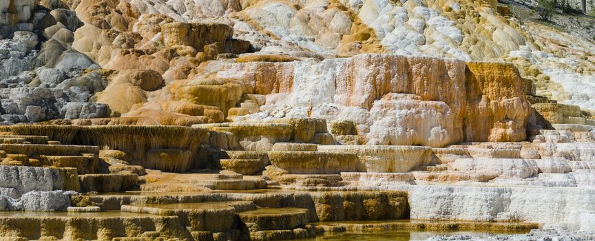 Panorama of travertine (limestone) terraces, Palette Springs, Yellowstone National Park, Wyoming, USA