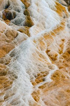 Detail of limestone and small streams of mineral rich water, Palette Springs, Mammoth Hot Springs, Yellowstone National Park, Park County, Wyoming, USA