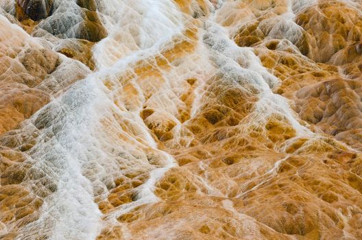 Detail of limestone and small streams of mineral rich water, Palette Springs, Mammoth Hot Springs, Yellowstone National Park, Park County, Wyoming, USA
