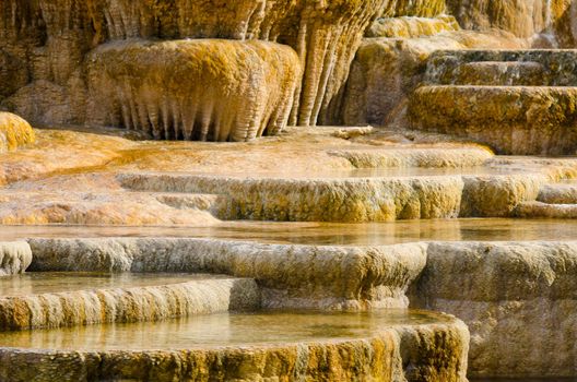 Travertine (limestone) terraces, Palette Springs, Yellowstone National Park, Wyoming, USA