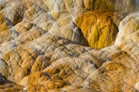 Detail of limestone and small streams of mineral rich water, Palette Springs, Mammoth Hot Springs, Yellowstone National Park, Park County, Wyoming, USA