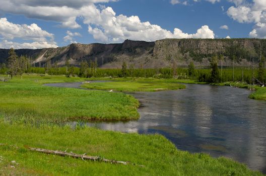 The Madison River, Yellowstone National Park, Park County, Wyoming, USA