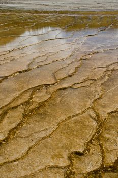 Geyserite patterns, Grand Prismatic Spring, Yellowstone National Park, Park County, Wyoming, USA