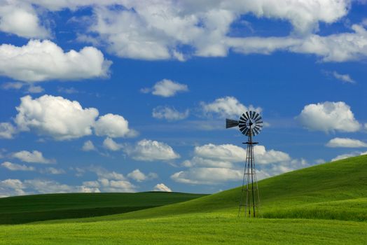 An old windmill, green wheat fields, cloud shadows and puffy clouds, Whitman County, Washington, USA