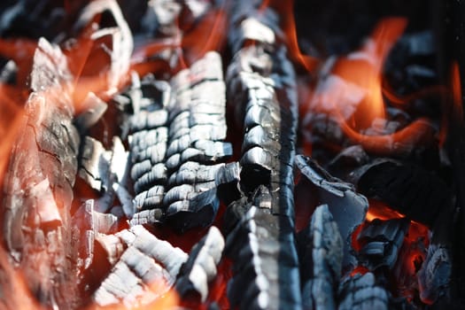 burning wood is left after the combustion of black coal