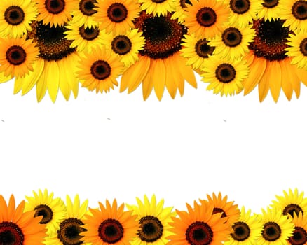 Sunflowers frame with place for you text
