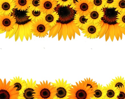 Sunflowers frame with place for you text