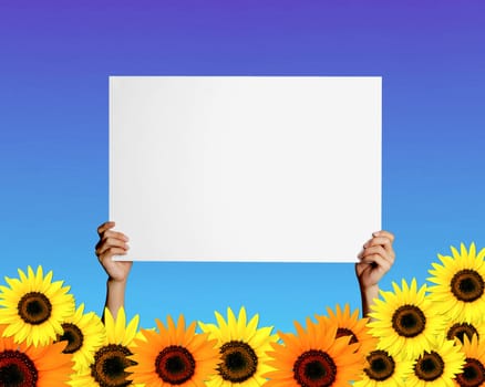 card with space for text and sunflowers