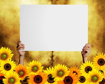 card with space for text and sunflowers