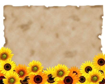 Grunge paper background with bright yellow sunflowers and copy space