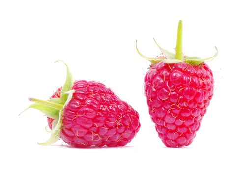 fresh raspberry closeup isolated on white background