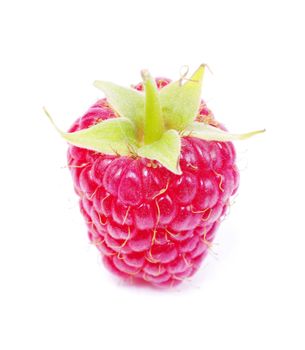 fresh raspberry closeup isolated on white background