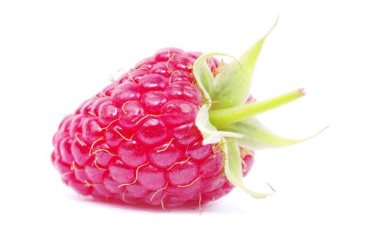 fresh raspberry closeup isolated on white background