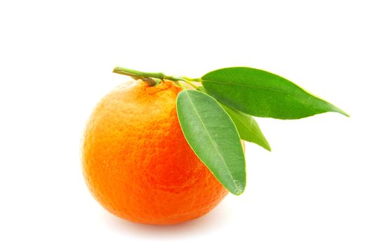  tangerine isolated on a white background