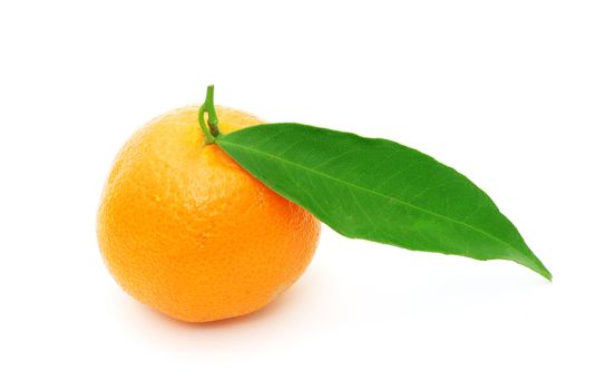  tangerine isolated on a white background
