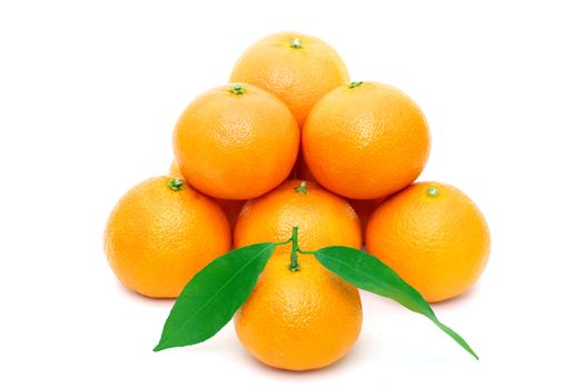  tangerine isolated on a white background