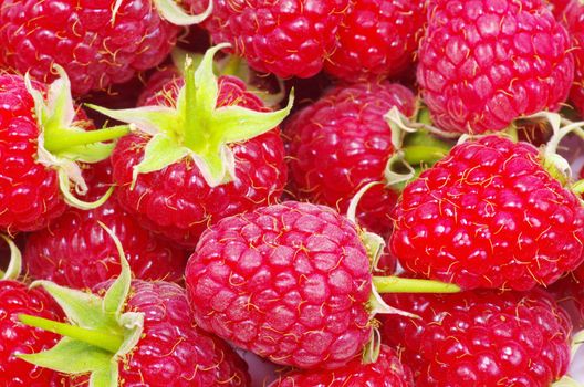 sweet fresh raspberry close up